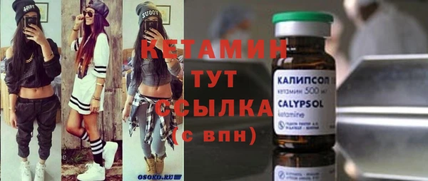 индика Горно-Алтайск